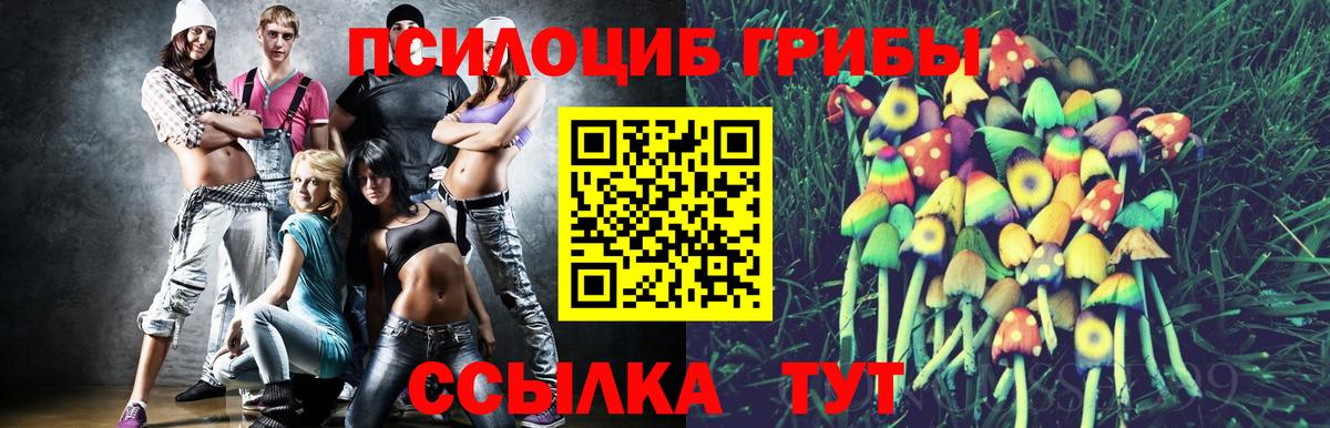 Галлюциногенные грибы прущие грибы Усолье-Сибирское